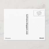 Flamingos in Florida Briefkaart (Achterkant)