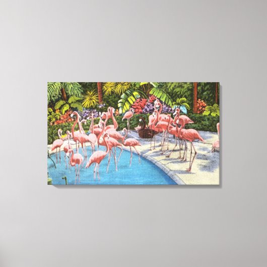 flamingo's in Florida Canvas Afdruk (Voorkant)