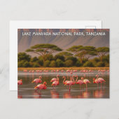 Flamingo's in het Tanzania Lake Manyara National P Briefkaart (Voorkant / Achterkant)