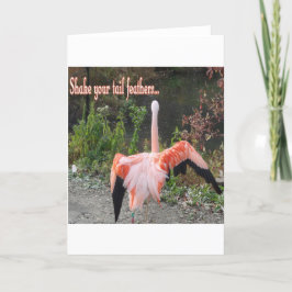 Flamingo's Kaart