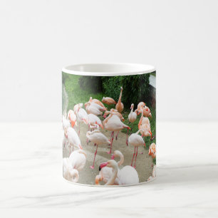 Flamingos Koffiemok