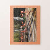 Flamingos Legpuzzel (Verticaal)