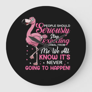 Flamingos   Mensen moeten ophouden normaal te verw Grote Klok