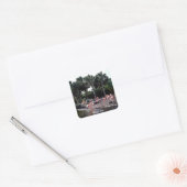 Flamingo's, Miami, Florida Vierkante Sticker (Envelop)