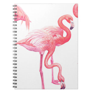 Flamingos Notitieboek
