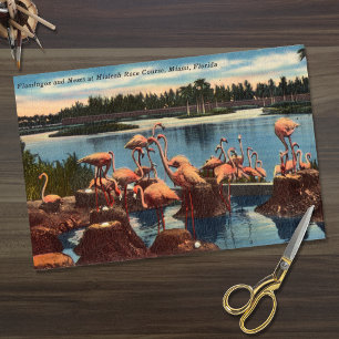  Flamingo's op Nesten in Miami Tissuepapier