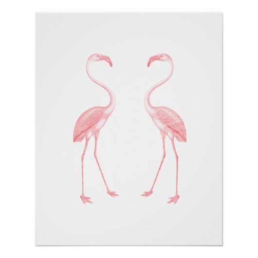 Flamingos Perfect Poster (Voorkant)