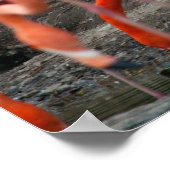 Flamingos Poster (Hoek)