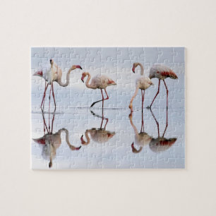 Flamingo's Puzzel