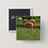 Flamingo's Vierkante Button 5,1 Cm (Voorkant /achterkant)