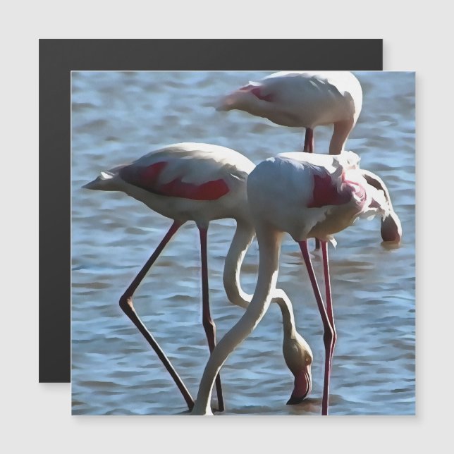 Flamingos voedingstijd Acrylverf (Voorkant / Achterkant)