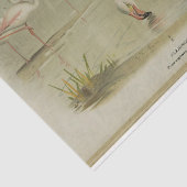 Flamingo's Vogels Ephemera Decoupage Tissuepapier (Detail)