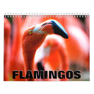 Flamingos Wall Agenda Kalender