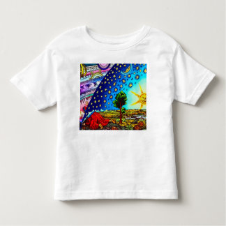Flammarion Dome Kinder Shirts