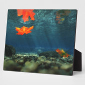 Flamme dans la plaque photo de l'eau (Côté)