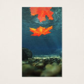 Flamme dans les Signets de l'eau (Dos)