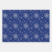 Flammes de neige gris argent mignonne sur papier b (Devant)