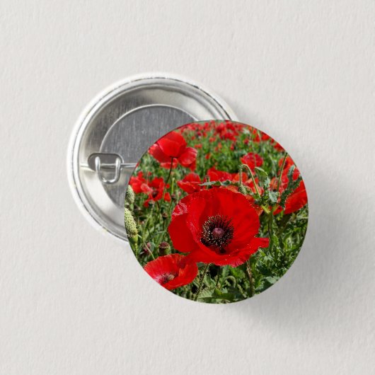 Flanders Poppy Button (Voorkant /achterkant)