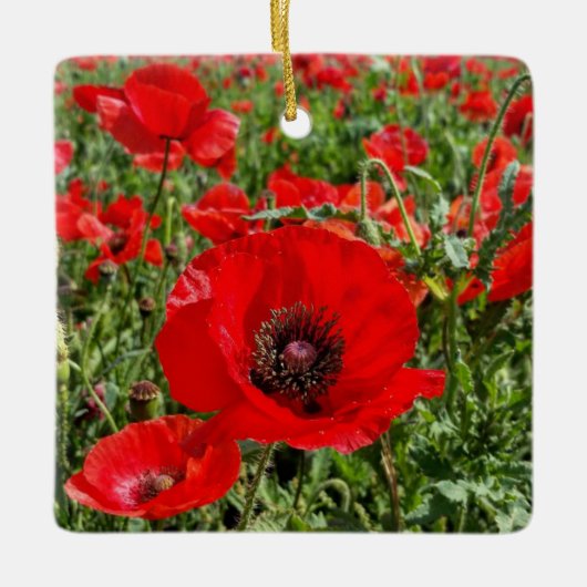 Flanders Poppy Ornament (Voorkant)