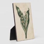  flank van de Valley Fotoplaat (Zijkant)