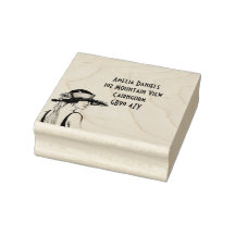 Flapper Girl-adres van 1920: zelfinkend stempel