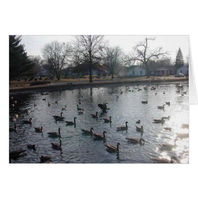 Flapping Goose kaart (Voorkant Horizontaal)