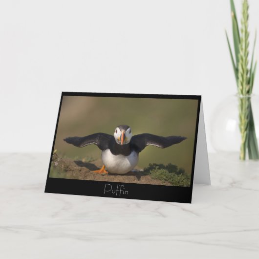 Flapping Puffin Kaart (Voorkant)