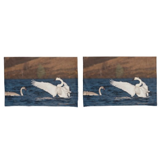 Flapping Swan Kussensloop (Voorkant-Set)