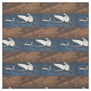 Flapping Swan Stof