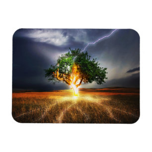 flash-845848 FANTASY LIGHTNING STRIKE TREE BACKGRO Magneet