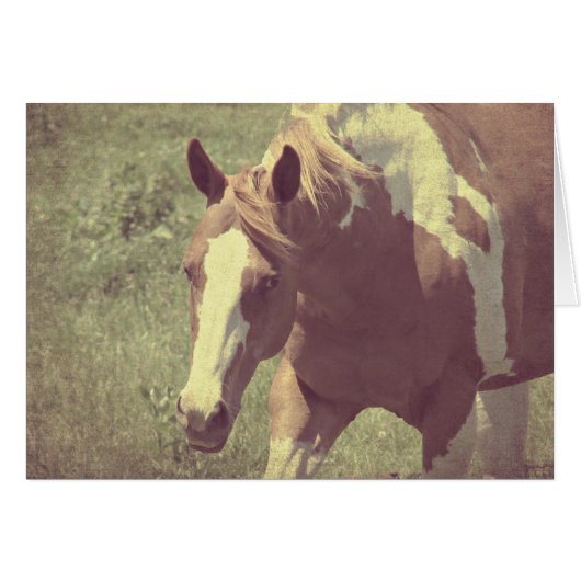 Flashy Faux  (Voorkant Horizontaal)