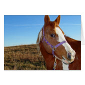 Flashy in Nebraka (Voorkant Horizontaal)