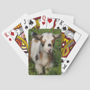 Flashy Nigerian Dwarf Dairy Goat Kind Pokerkaarten