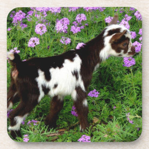 Flashy Nigerian Dwarf Goat Kind in paarse bloemen Bier Onderzetter