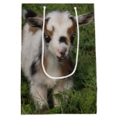 Flashy Nigerian Dwarf Goat Kind Medium Cadeauzakje (Achterkant)