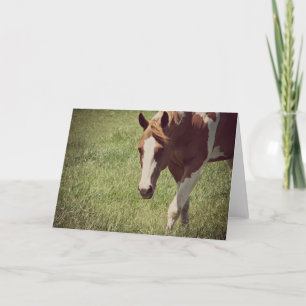 Flashy Paint Horse Alle keren Kaart
