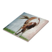 Flashy Paint Horse Mare Tegeltje (Zijkant)