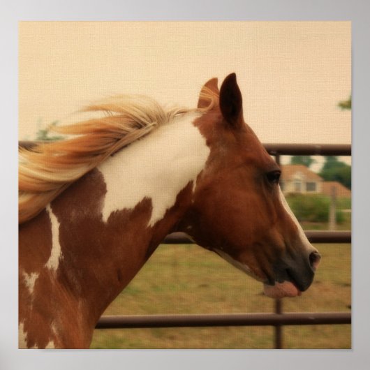 Flashy Poster (Voorkant)