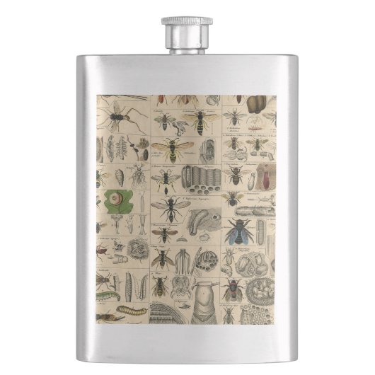 Flasque Abeille Insecte Bug Wasp Nature Peinture des abeil (devant)
