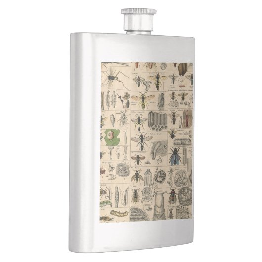 Flasque Abeille Insecte Bug Wasp Nature Peinture des abeil (Droite)