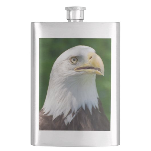 Flasque Aigle de Bald (devant)