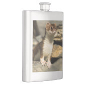 Flasque Alerte Weasel (Droite)