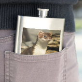 Flasque Alerte Weasel (En situation)