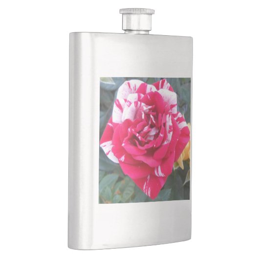 Flasque Ancienne (Droite)