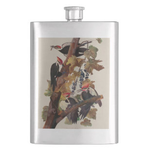 Flasque Audubon Peinture d'Oiseaux Pic Pilé