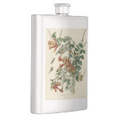 Flasque Audubon Throsé de colibri (Droite)