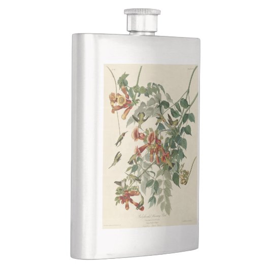 Flasque Audubon Throsé de colibri (Droite)