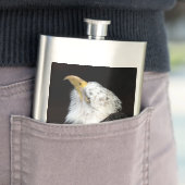 Flasque Bald Eagle Portriat (En situation)