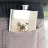 Flasque bulldog blanc (En situation)