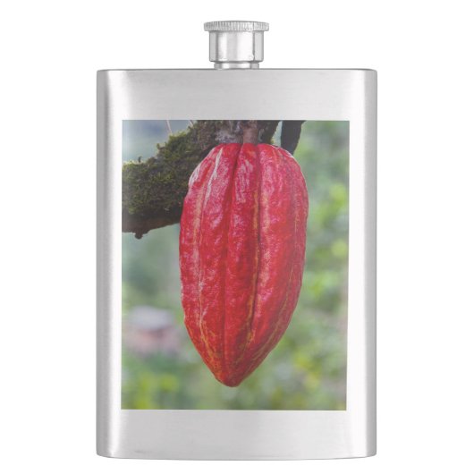 Flasque cabosse rouge (devant)
